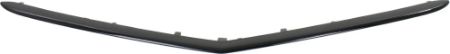 Picture for category Grille molding upper