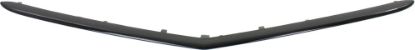 Picture of Grille Trim