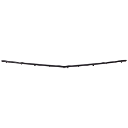 Picture of Grille Trim