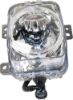 Picture of Fog Light