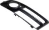 Picture of Fog Light Trim