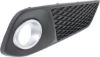 Picture of Fog Light Cover