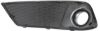 Picture of Fog Light Cover