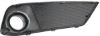Picture of Fog Light Cover