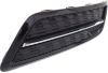 Picture of Fog Light Cover
