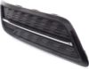 Picture of Fog Light Cover