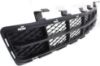 Picture of Bumper Grille