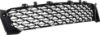 Picture of Bumper Grille