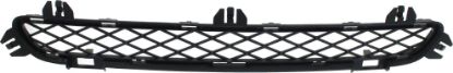 Picture of Bumper Grille