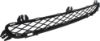 Picture of Bumper Grille