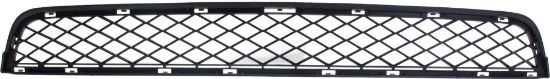 Picture of Bumper Grille
