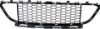 Picture of Bumper Grille