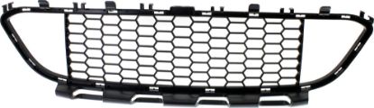 Picture of Bumper Grille