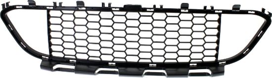 Picture of Bumper Grille