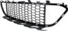 Picture of Bumper Grille