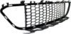 Picture of Bumper Grille