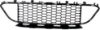 Picture of Bumper Grille