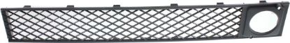 Picture of Bumper Grille