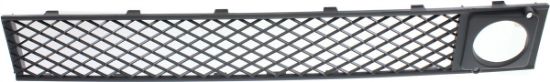 Picture of Bumper Grille