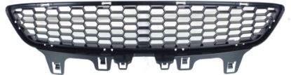 Picture of Bumper Grille