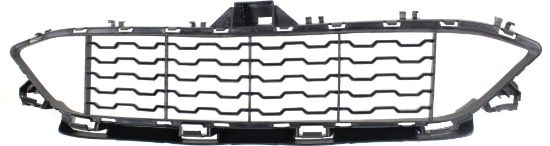 Picture of Bumper Grille