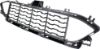 Picture of Bumper Grille