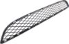 Picture of Bumper Grille