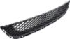 Picture of Bumper Grille