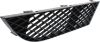 Picture of Bumper Grille