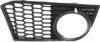 Picture of Fog Light Trim
