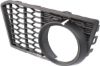 Picture of Fog Light Trim