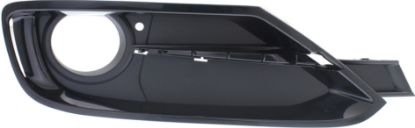 Picture of Fog Light Trim