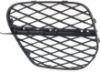 Picture of Bumper Grille