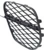 Picture of Bumper Grille