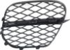 Picture of Bumper Grille