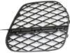 Picture of Bumper Grille