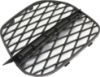 Picture of Bumper Grille