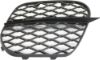 Picture of Bumper Grille
