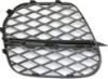 Picture of Bumper Grille