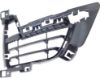 Picture of Bumper Grille