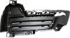 Picture of Bumper Grille