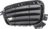 Picture of Bumper Grille