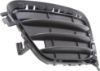 Picture of Bumper Grille