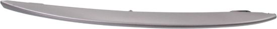 Picture of Bumper Trim