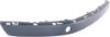 Picture of Bumper Trim