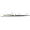 Picture of Bumper Trim