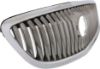 Picture of Grille Assembly