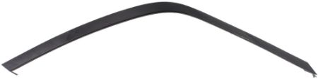 Picture for category RT Headlamp cover