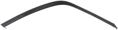 Picture of Headlight Filler
