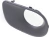 Picture of Fog Light Trim